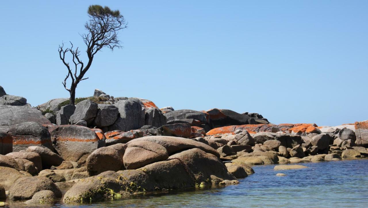 Bay Of Fires Seachange Ocean Frontage Binalong Bay Exteriér fotografie